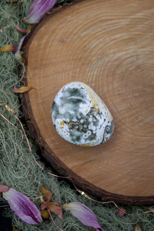 Orbicular Jasper Palm Stone