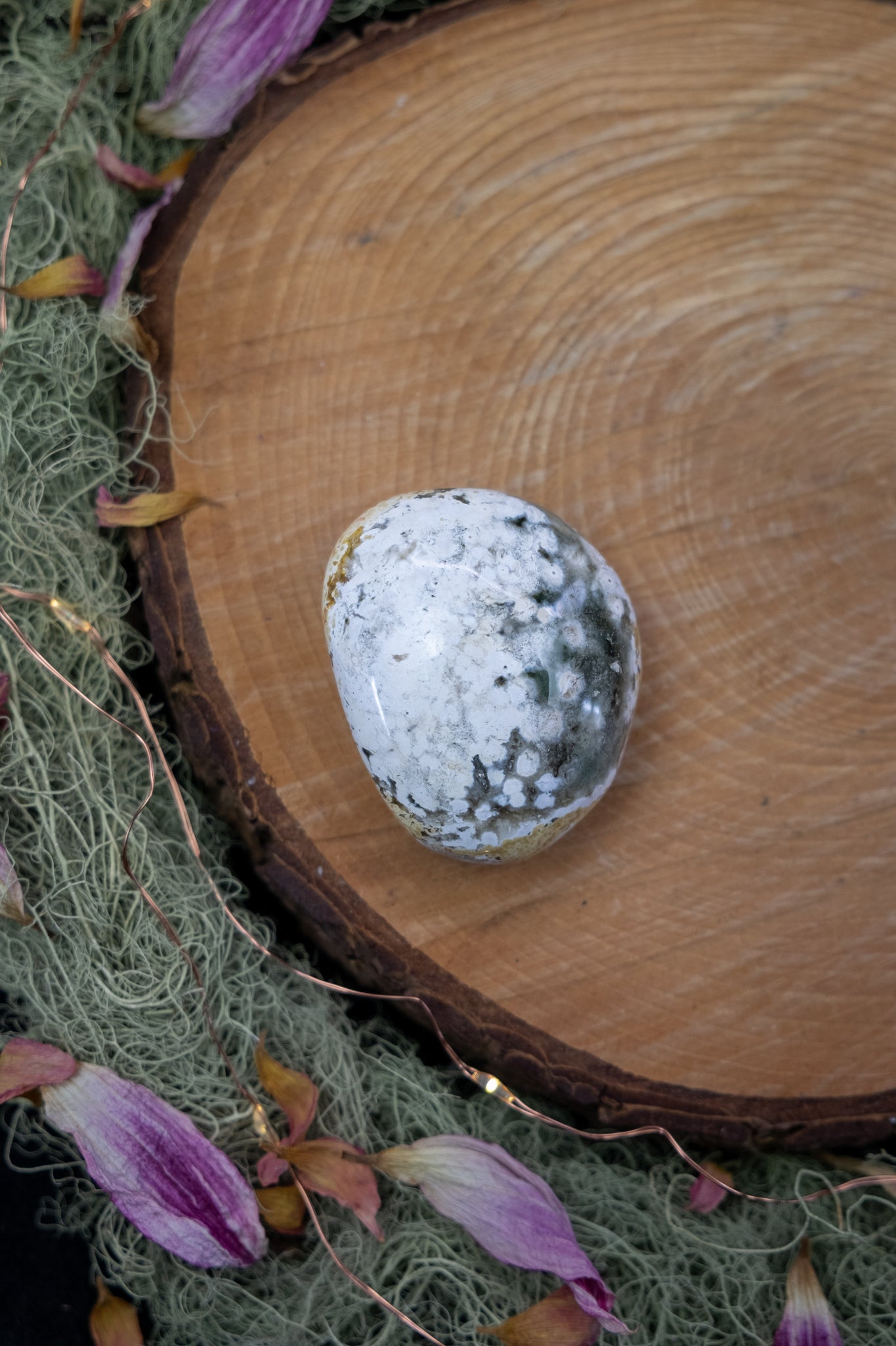 Orbicular Jasper Palm Stone