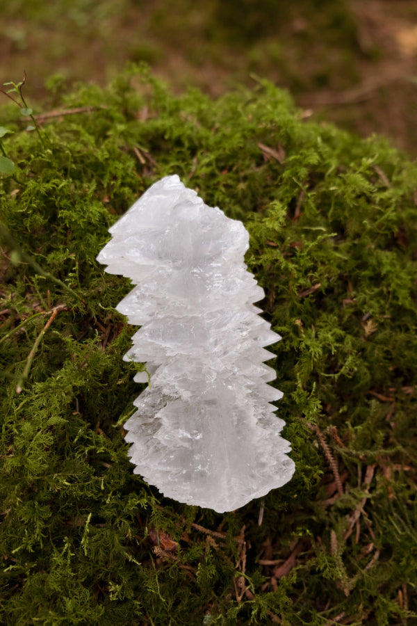 Fish Tail Selenite Crystal Cluster, Unique Satin Spar Stone for Cleansing, Clarity and Spiritual Connection