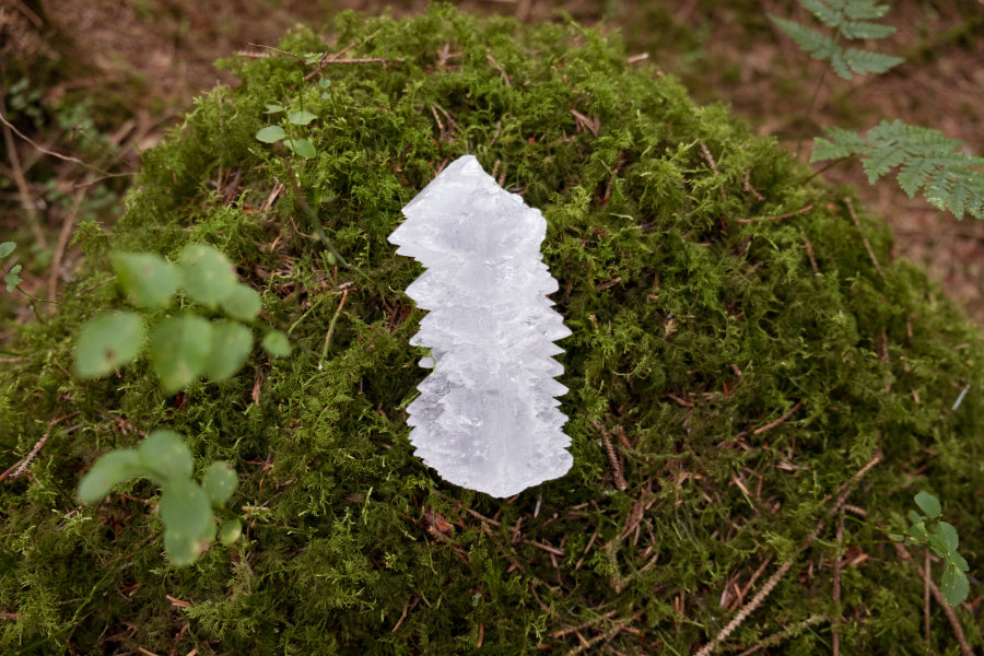 Fish Tail Selenite Crystal Cluster, Unique Satin Spar Stone for Cleansing, Clarity and Spiritual Connection