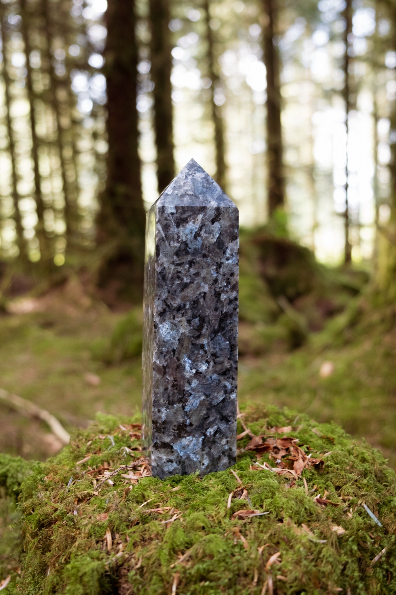 Larvikite Point