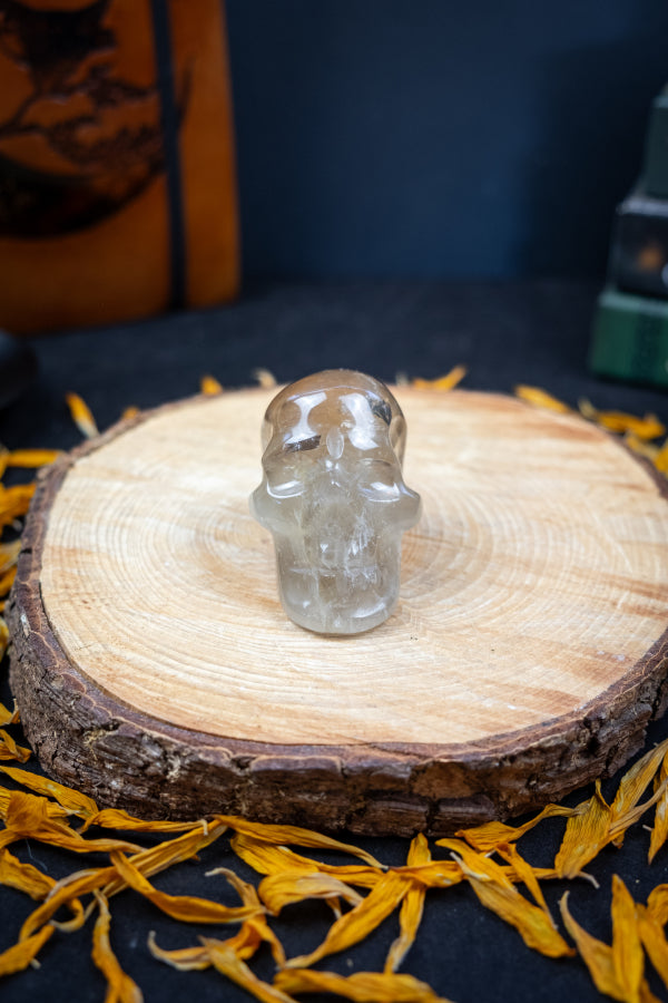 High Grade Smoky Citrine Crystal Skull, Natural Gemstone Carving, Hand Carved Stone Skull for Healing and Energy Work