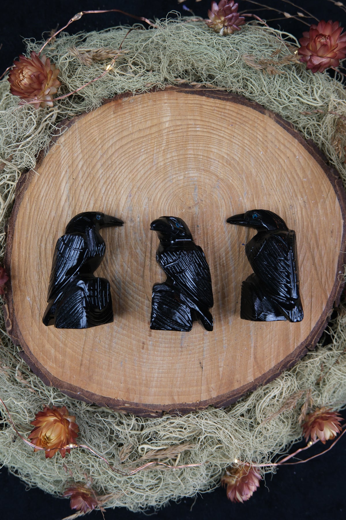 Black Onyx Raven