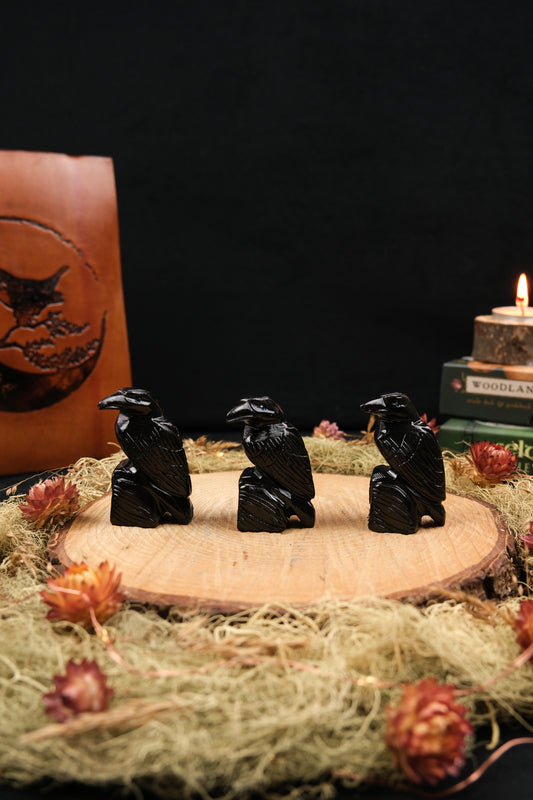Black Onyx Raven