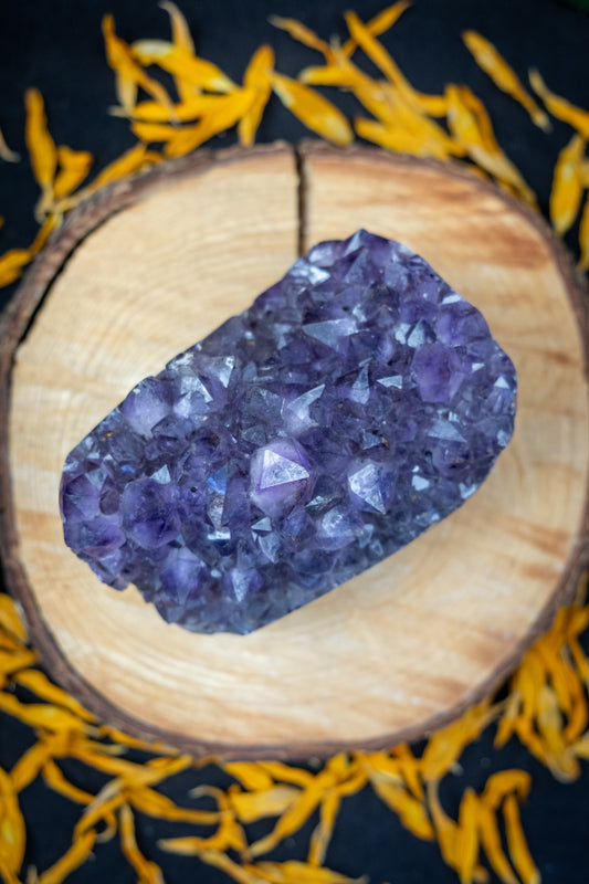 Very Dark Amethyst Crystal Bed Cluster, Natural Gemstone for Healing, Protection, Intuition, Meditation and Spiritual Growth
