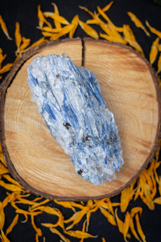 High Grade Kyanite in Quartz Raw Stone, Ethically Sourced Crystal, Healing Gemstone for Clarity Alignment Spiritual Energy