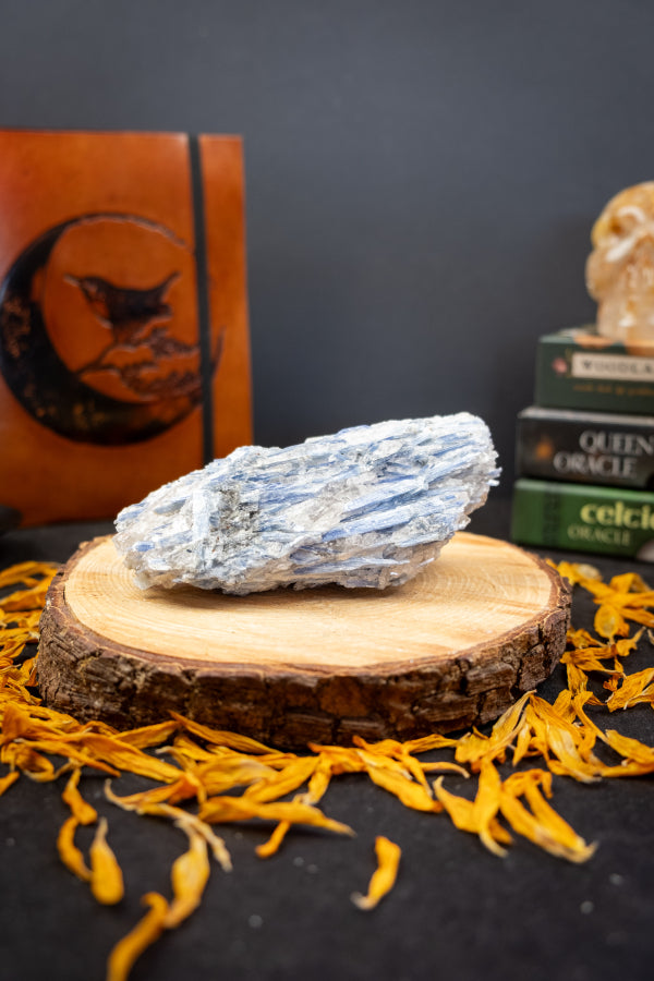 High Grade Kyanite in Quartz Raw Stone, Ethically Sourced Crystal, Healing Gemstone for Clarity Alignment Spiritual Energy