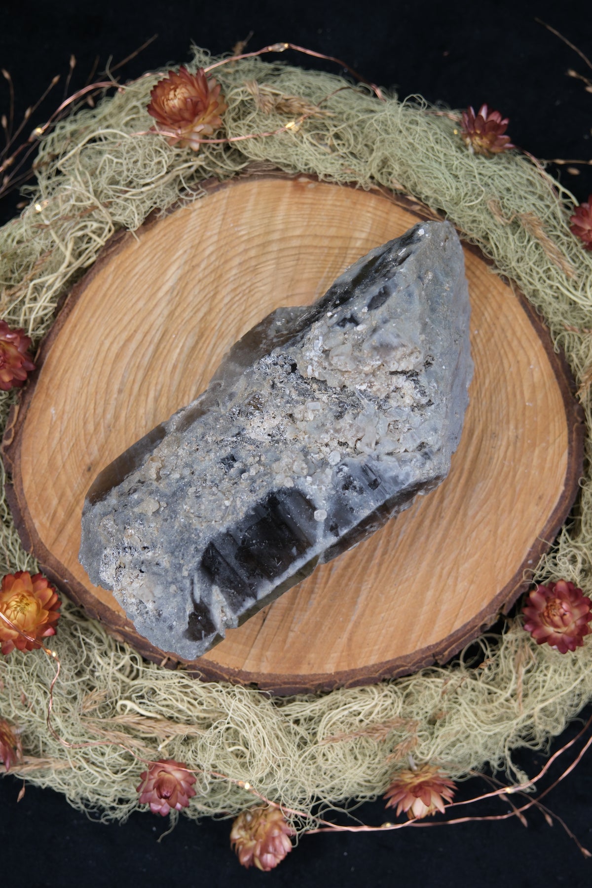 South African Smokey Lemurian Quartz with Barnacle Growth