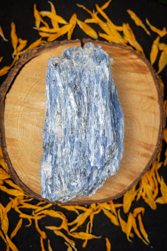 High Grade Kyanite in Quartz Raw Stone, Ethically Sourced Crystal, Healing Gemstone for Clarity Alignment Spiritual Energy