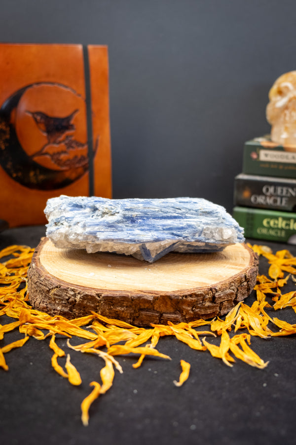 High Grade Kyanite in Quartz Raw Stone, Ethically Sourced Crystal, Healing Gemstone for Clarity Alignment Spiritual Energy