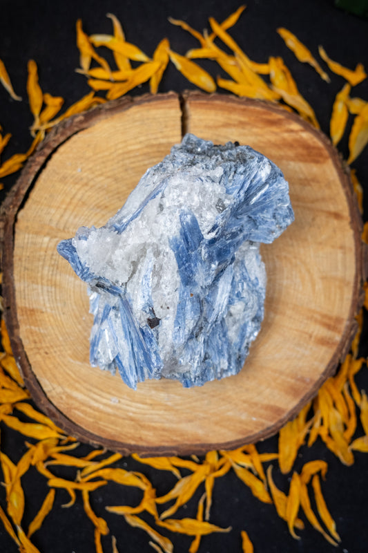 High Grade Kyanite in Quartz Raw Stone, Ethically Sourced Crystal, Healing Gemstone for Clarity Alignment Spiritual Energy