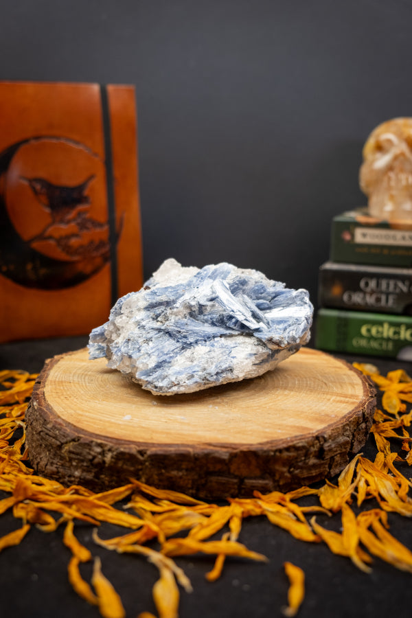 High Grade Kyanite in Quartz Raw Stone, Ethically Sourced Crystal, Healing Gemstone for Clarity Alignment Spiritual Energy