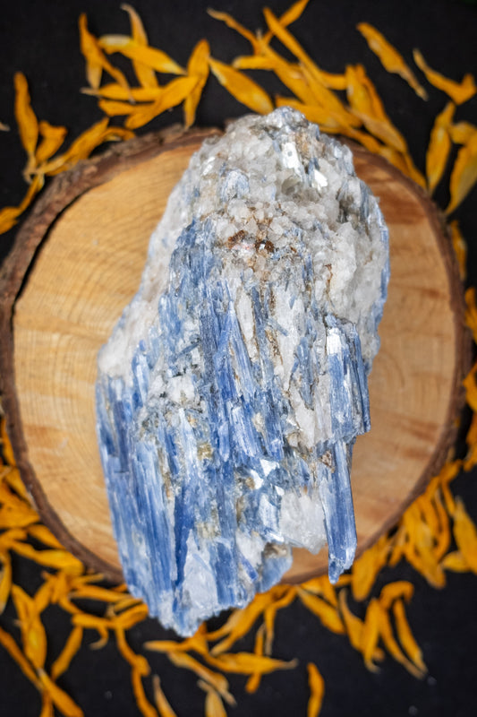 High Grade Kyanite in Quartz Raw Stone, Ethically Sourced Crystal, Healing Gemstone for Clarity Alignment Spiritual Energy
