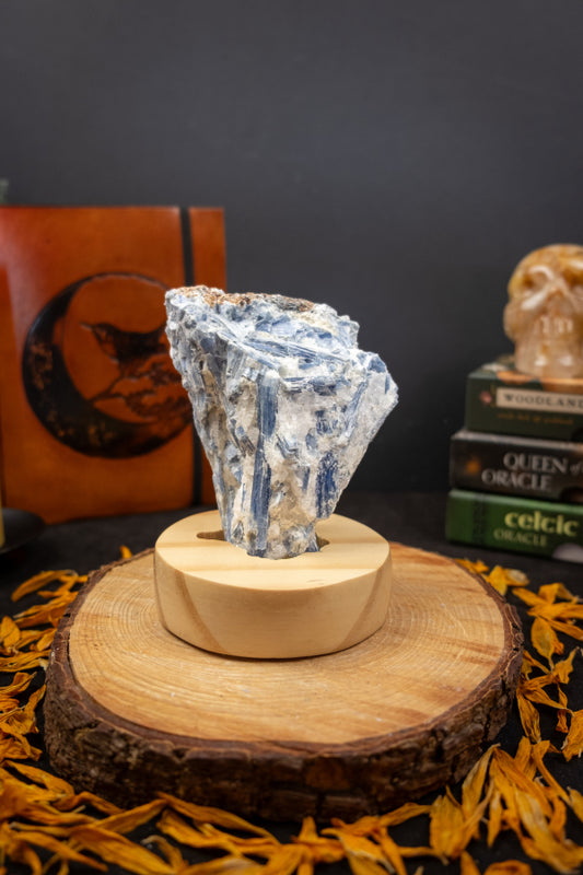 High Grade Kyanite in Quartz Raw Stone with Stand, Ethically Sourced Crystal, Healing Gemstone for Clarity Alignment Spiritual Energy