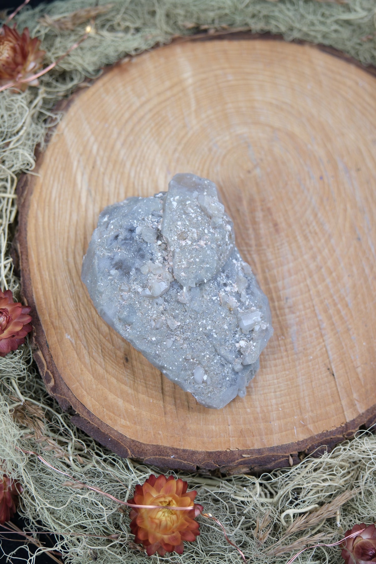 South African Smokey Lemurian Quartz with Barnacle Crystals