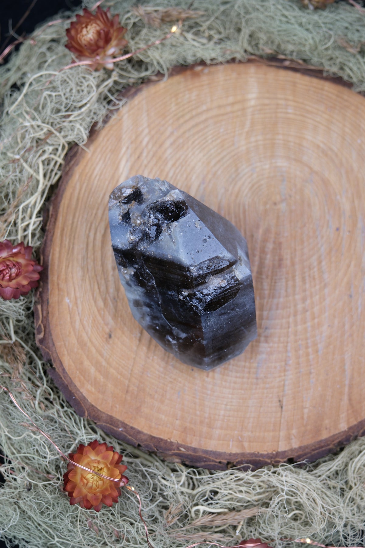 South African Smokey Lemurian Quartz Point