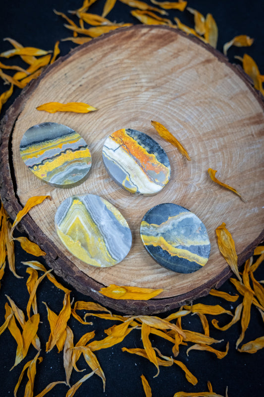 Bumblebee Jasper Palmstone Yellow and Black Jasper Oval Disc Crystal for Confidence Protection Meditation and Healing