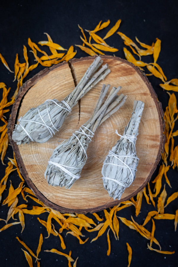 White Sage Torch Smudge Stick, Cleansing Herb for Purification, Natural Smoke Cleanser, Spiritual Healing Ritual Sage