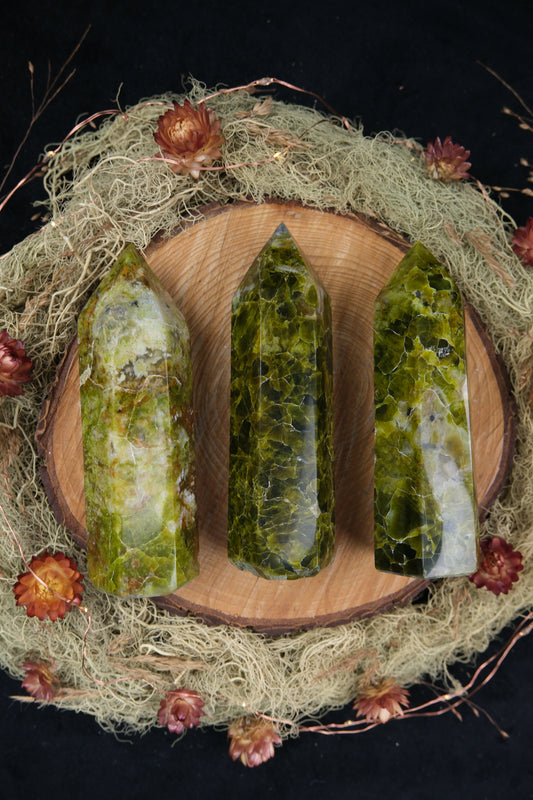 Kiwi Opal Point