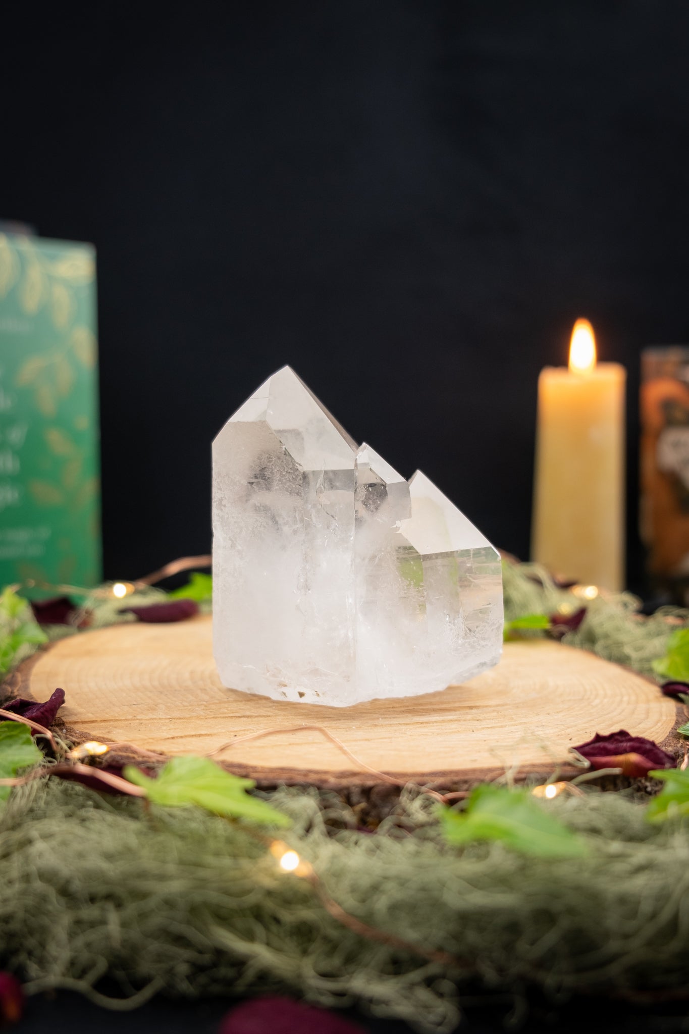 Zecca de Sousa Quartz Family Cluster
