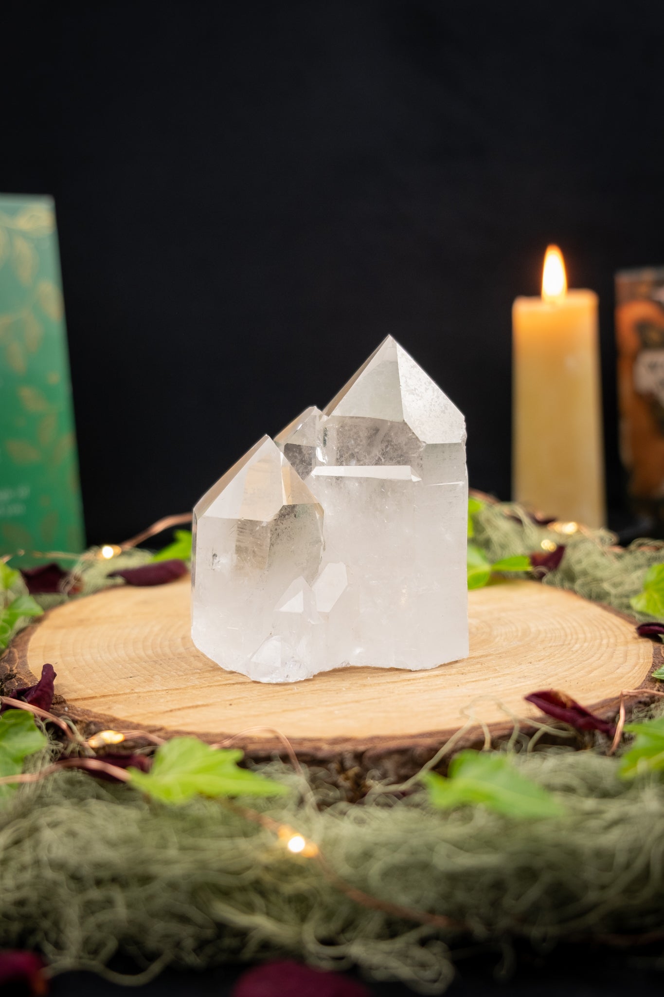 Zecca de Sousa Quartz Family Cluster