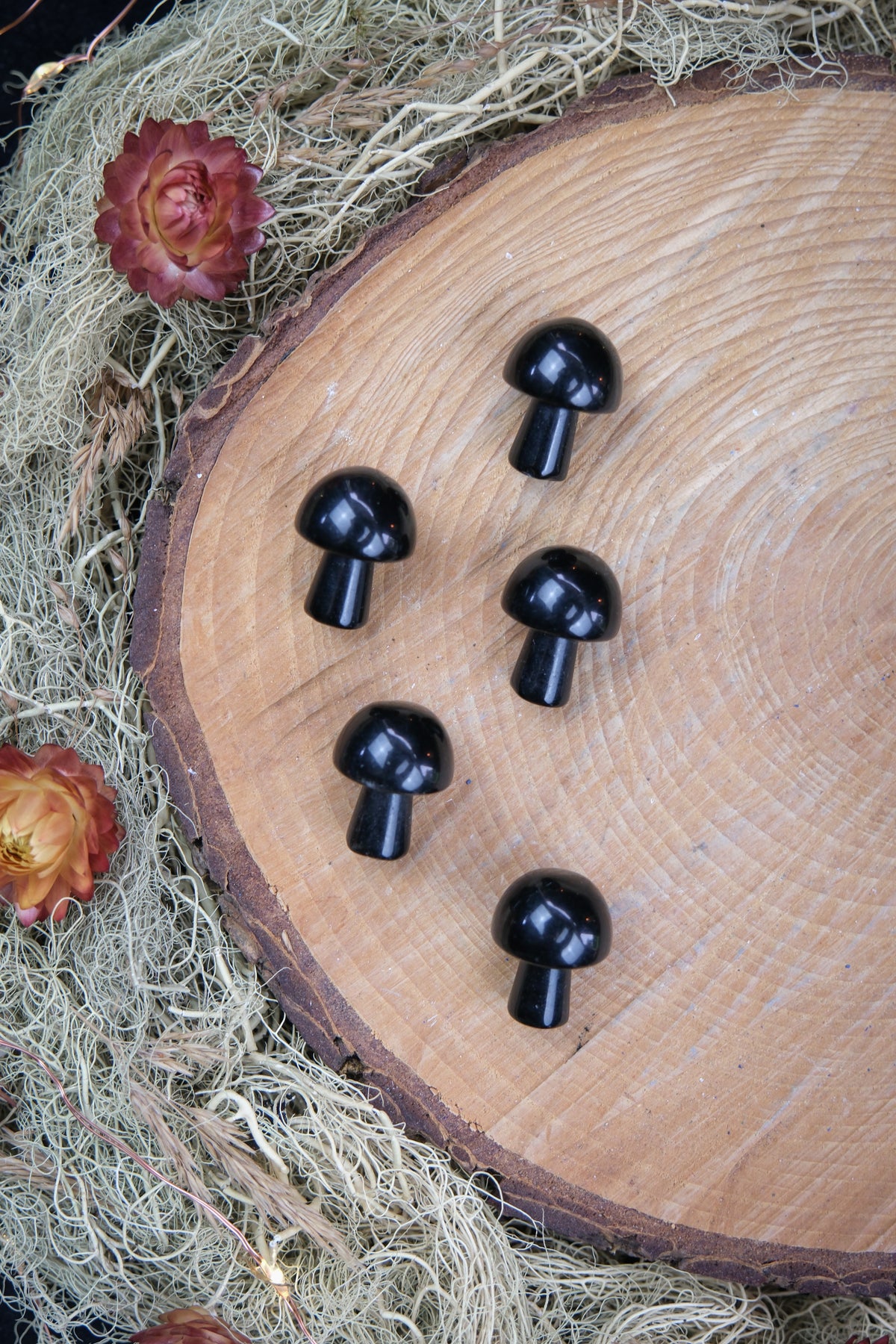 Mini Black Obsidian Toadstool