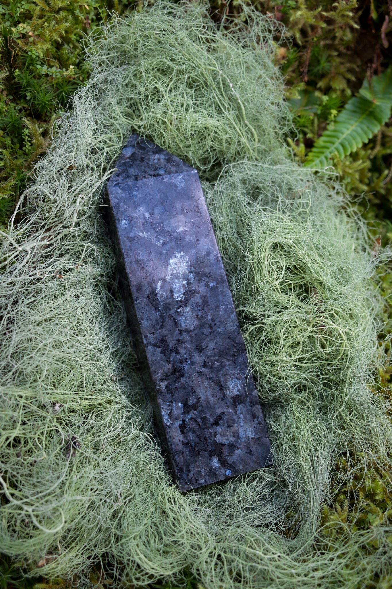 Larvikite Point