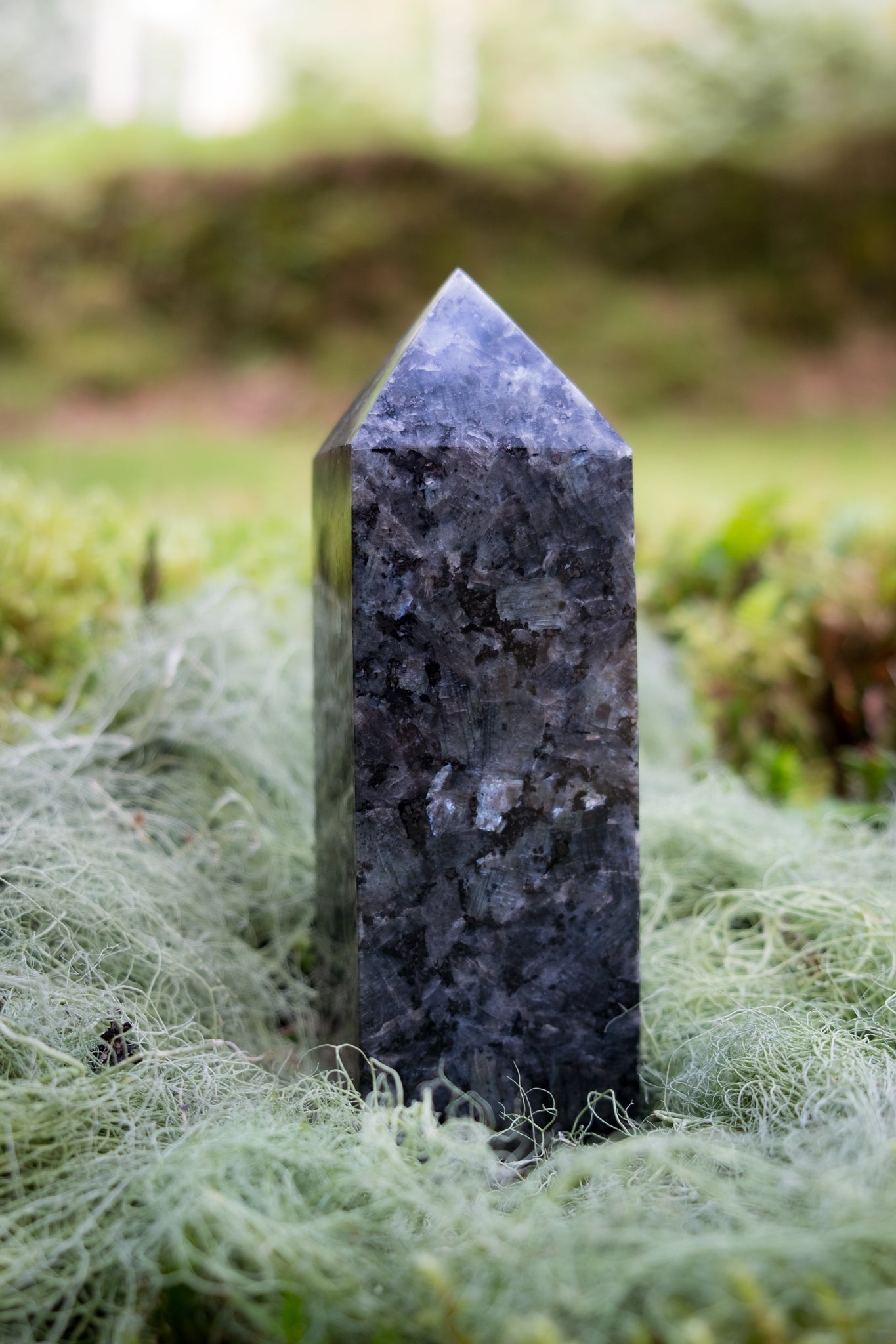 Larvikite Point