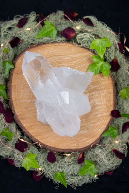 Lemurian Quartz Growth Formation