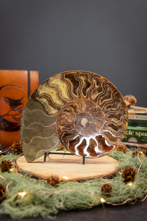 Polished Ammonite Fossil Pair from Madagascar, Drusy Gem Slice, Iridescent Ammonite Fossil Stone, Natural Home Décor and Healing Crystal