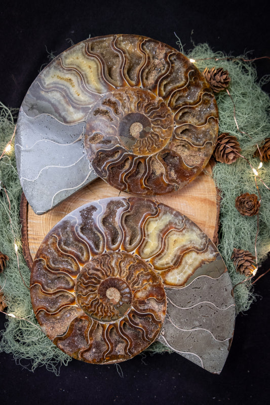 Polished Ammonite Fossil Pair from Madagascar, Drusy Gem Slice, Iridescent Ammonite Fossil Stone, Natural Home Décor and Healing Crystal