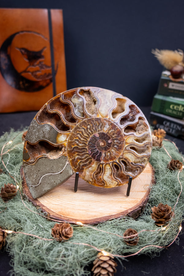 Polished Ammonite Pair with Stands, Fossilised Ammonite Gemstone, Druzy Calcite Crystal Inclusions, Natural Fossil Stone for Home or Healing