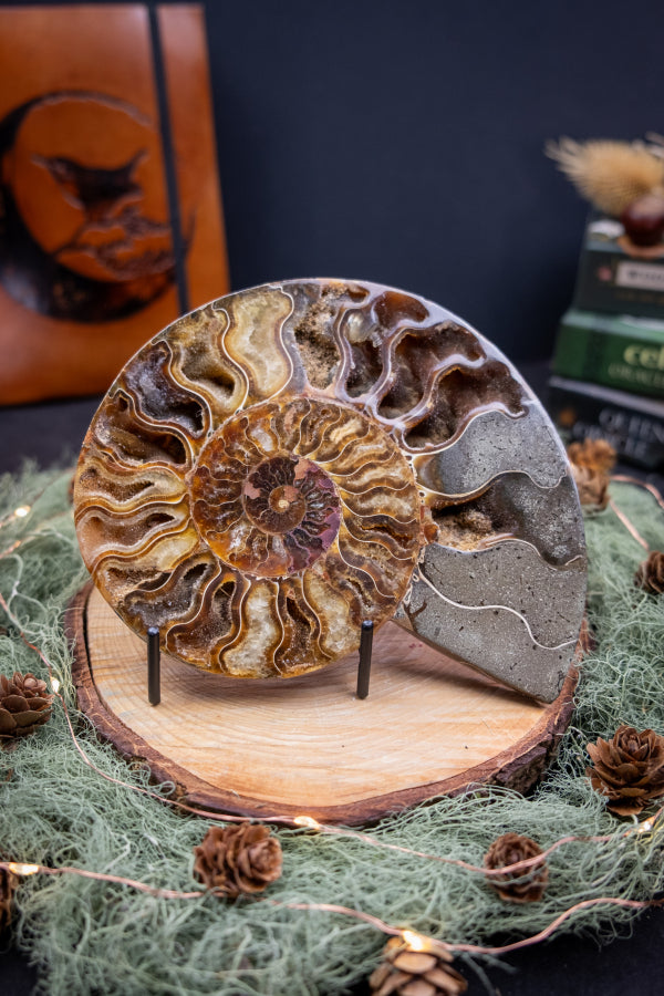 Polished Ammonite Pair with Stands, Fossilised Ammonite Gemstone, Druzy Calcite Crystal Inclusions, Natural Fossil Stone for Home or Healing