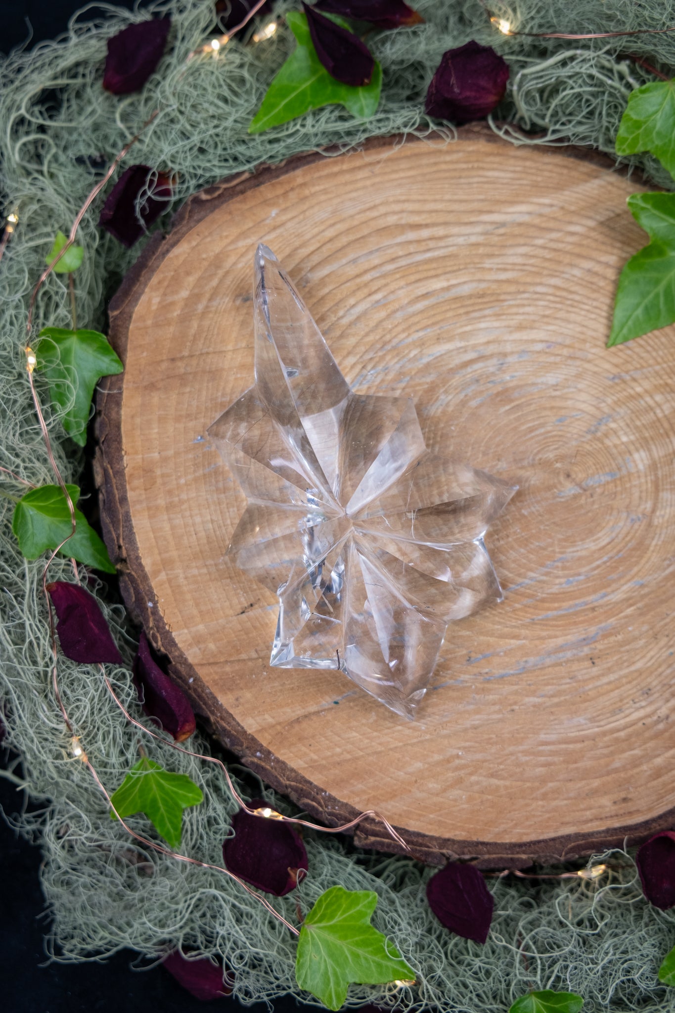 Lemurian Quartz Star with Rutile on Custom Stand