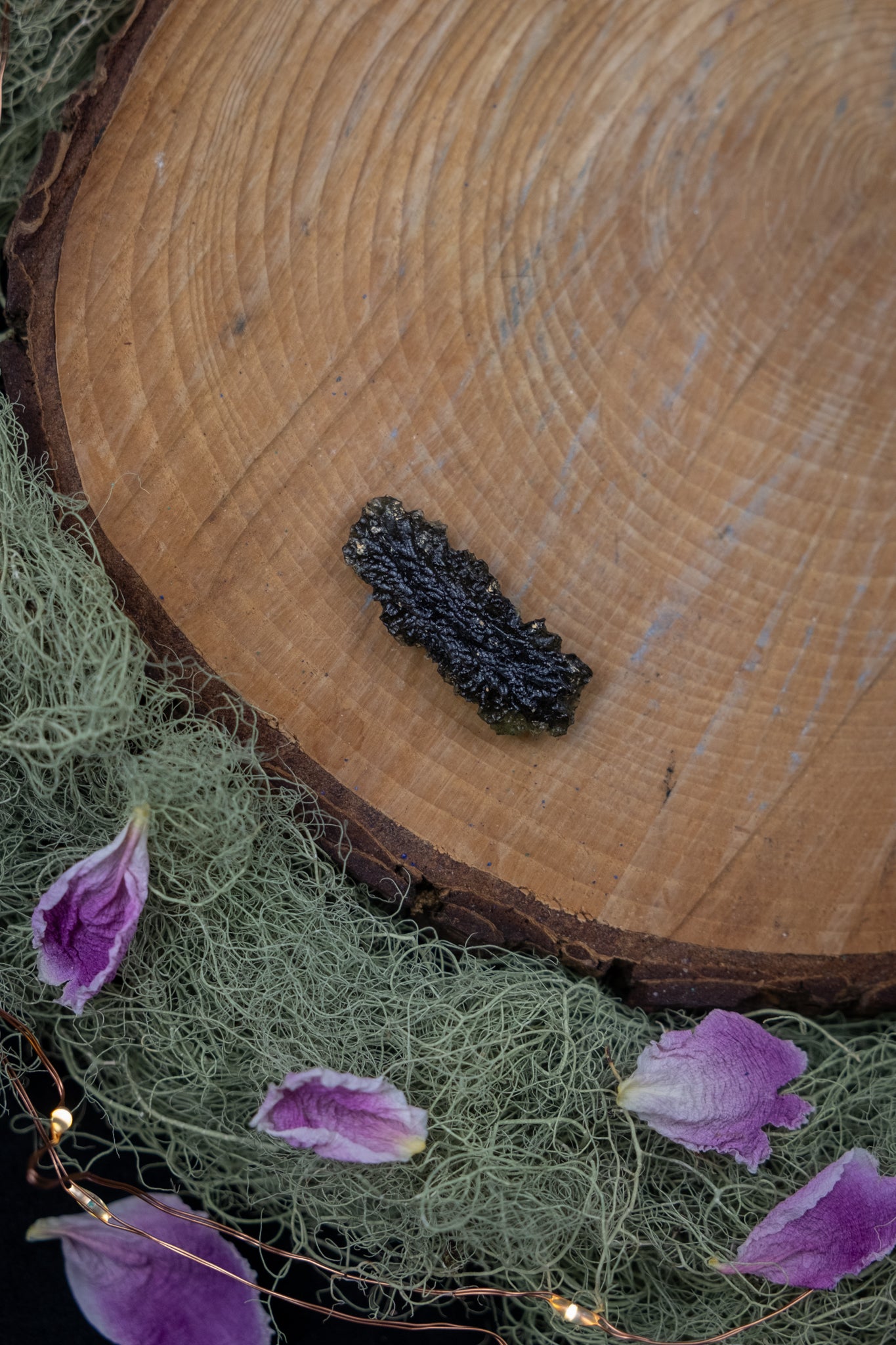 Hedgehog Moldavite