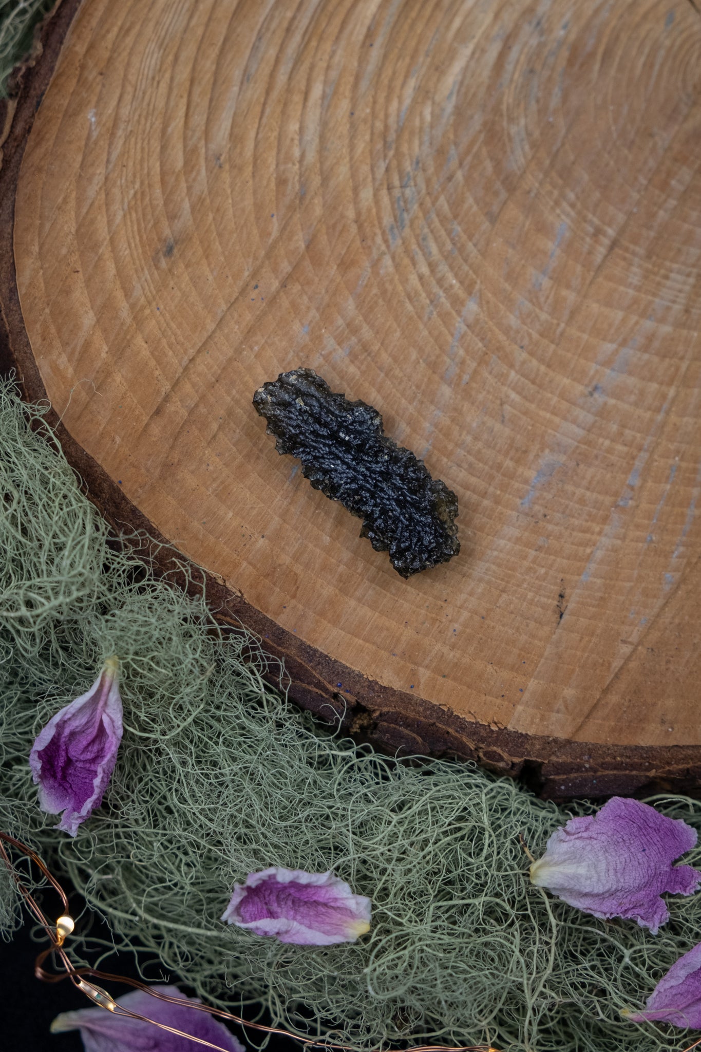 Hedgehog Moldavite