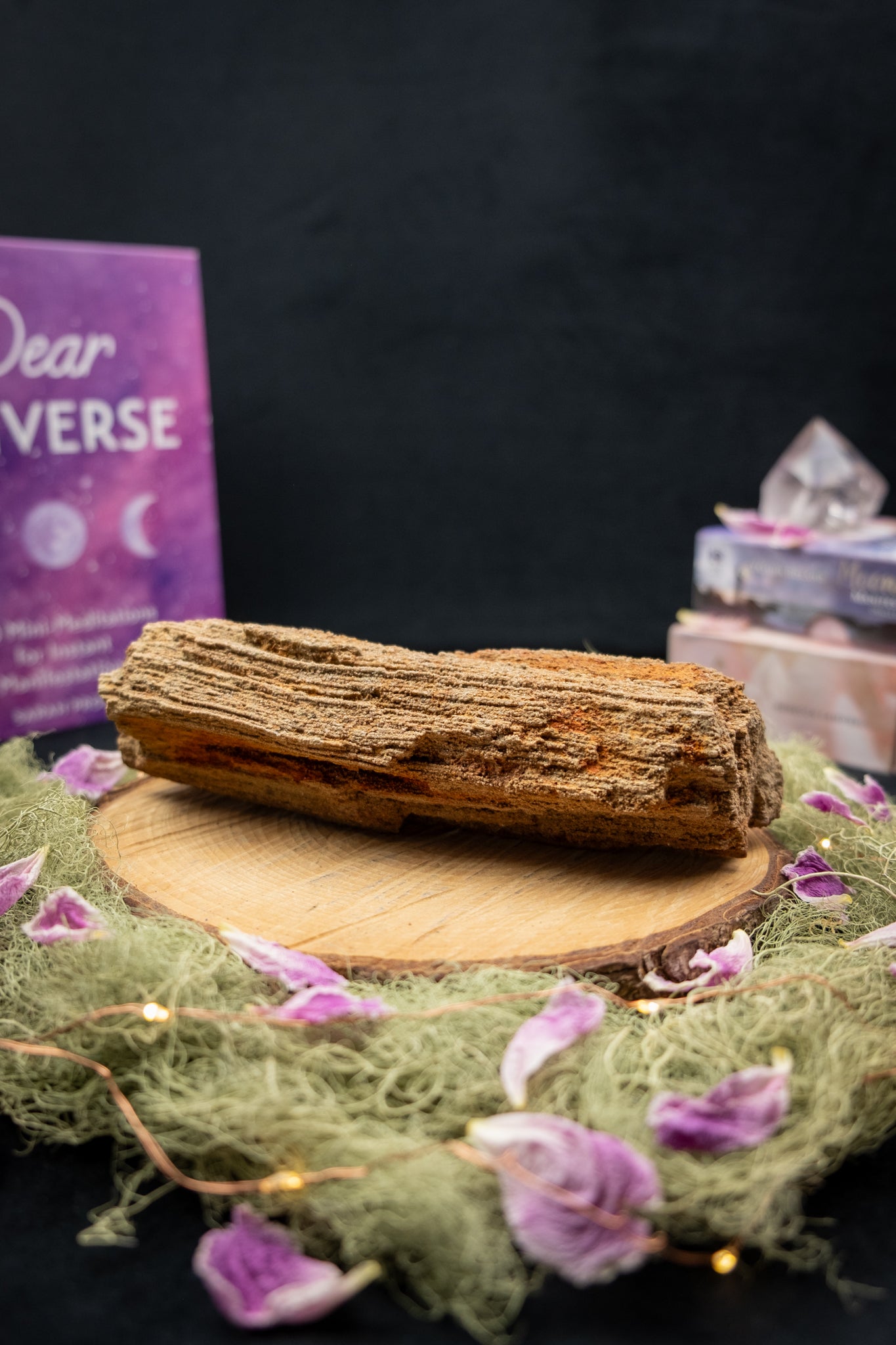 Petrified Wood with Quartz Drusy