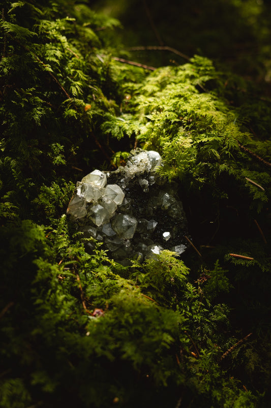 Forest Epidote Quartz Crystal, RARE find, Exceptional quality.