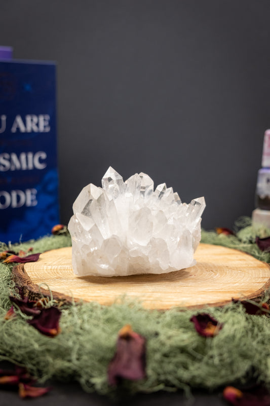 Zeca de Souza Quartz Cluster, Self Healed Base, Chlorite Inclusion, Brazilian Clear Quartz for Clarity and Energy Amplification