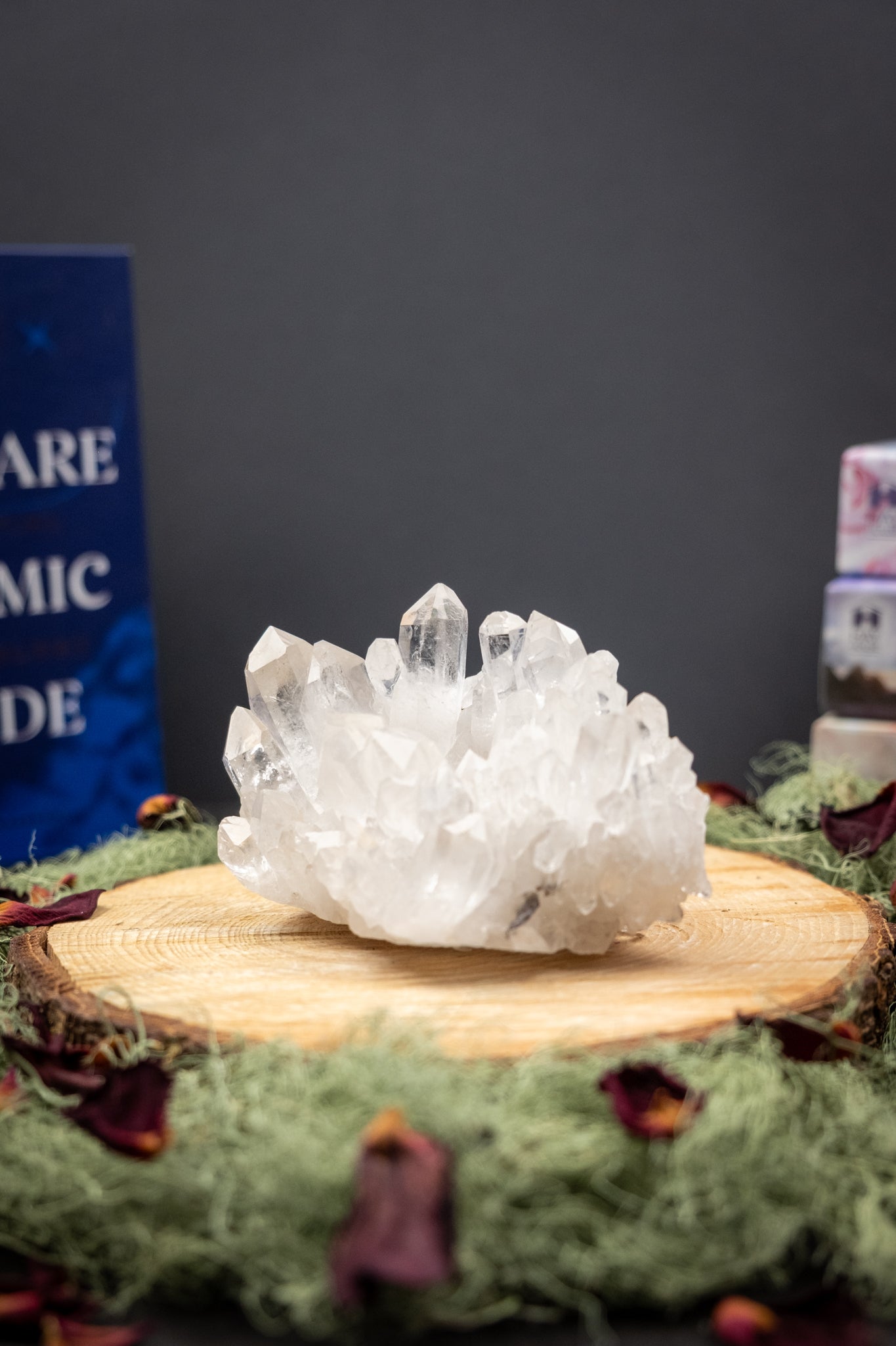 Zeca de Souza Quartz Cluster, Self Healed Base, Chlorite Inclusion, Brazilian Clear Quartz for Clarity and Energy Amplification