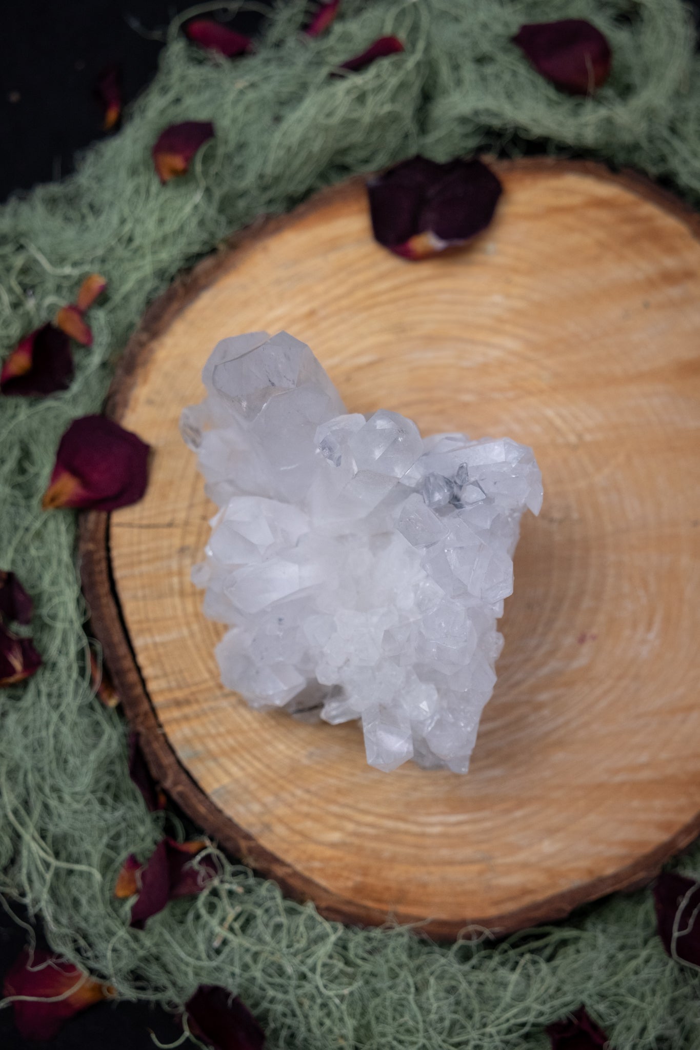 Zeca de Souza Quartz Cluster, Self Healed Base, Chlorite Inclusion, Brazilian Clear Quartz for Clarity and Energy Amplification