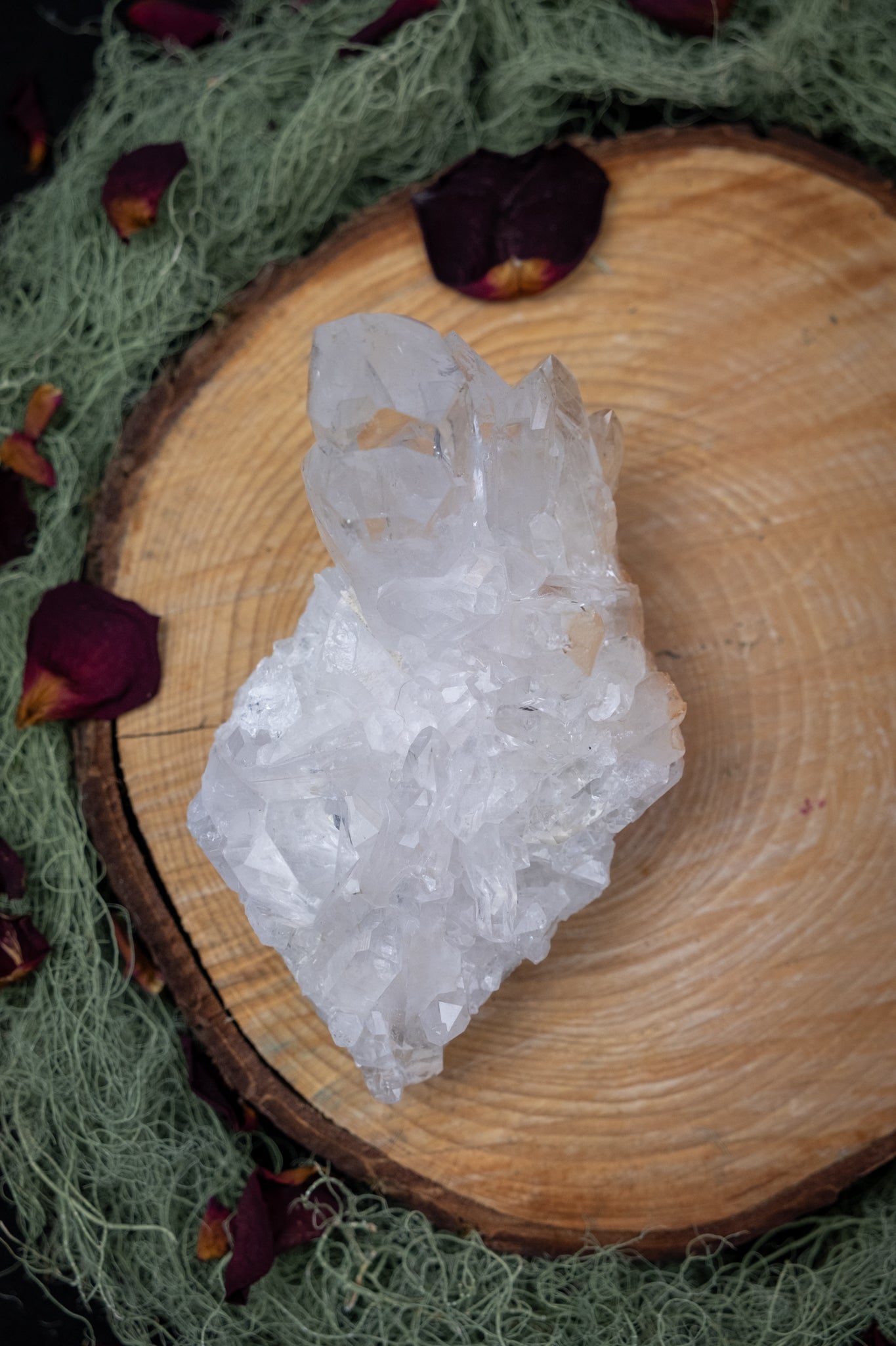 Zeca de Sousa Quartz Cluster, Natural Brazilian Clear Quartz Crystal Cluster, High Vibration Healing Stone for Clarity