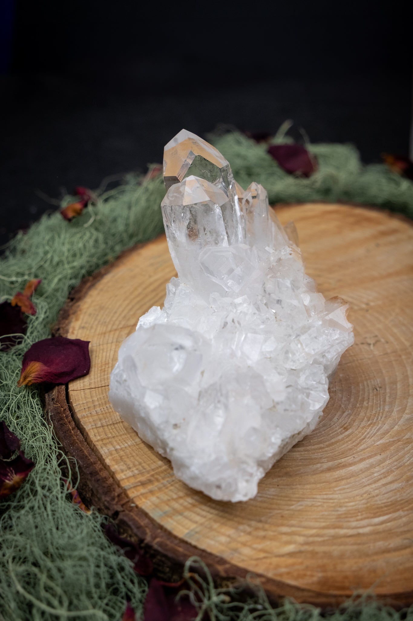 Zeca de Sousa Quartz Cluster, Natural Brazilian Clear Quartz Crystal Cluster, High Vibration Healing Stone for Clarity