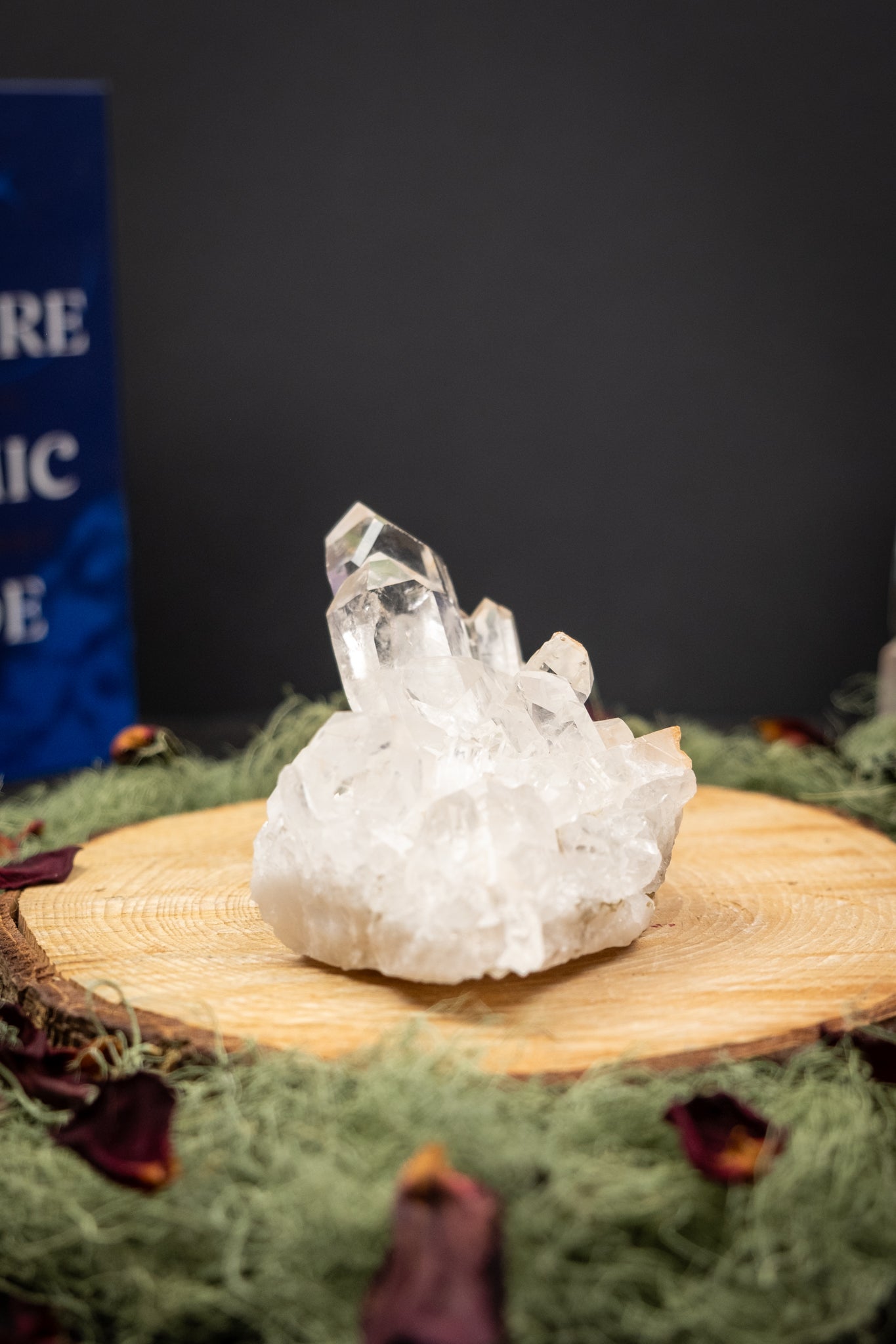Zeca de Sousa Quartz Cluster, Natural Brazilian Clear Quartz Crystal Cluster, High Vibration Healing Stone for Clarity