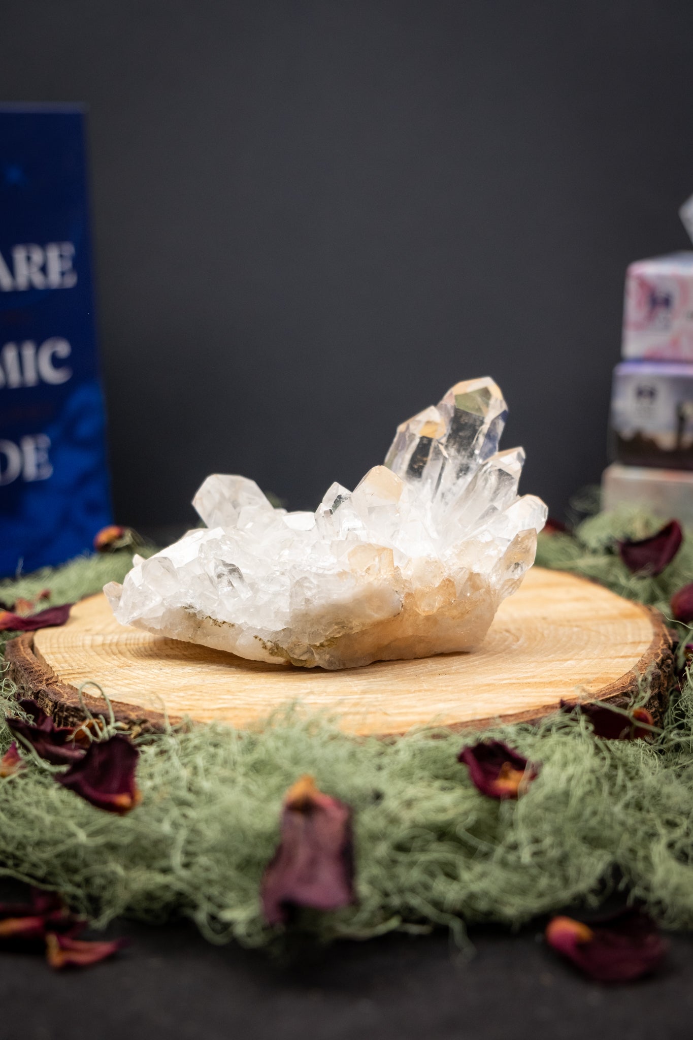 Zeca de Sousa Quartz Cluster, Natural Brazilian Clear Quartz Crystal Cluster, High Vibration Healing Stone for Clarity