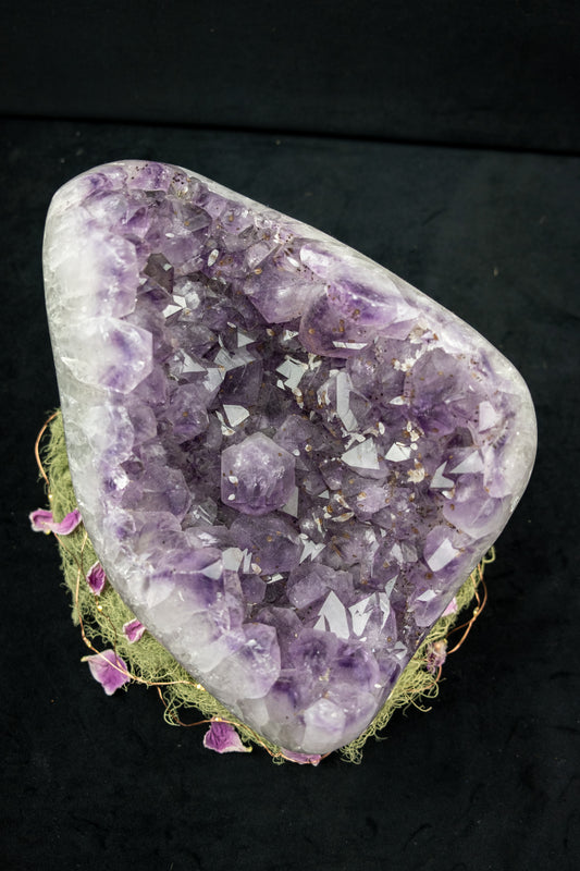 Amethyst Drusy Crystal Bed with Actinolite, Moss Agate and Calcite