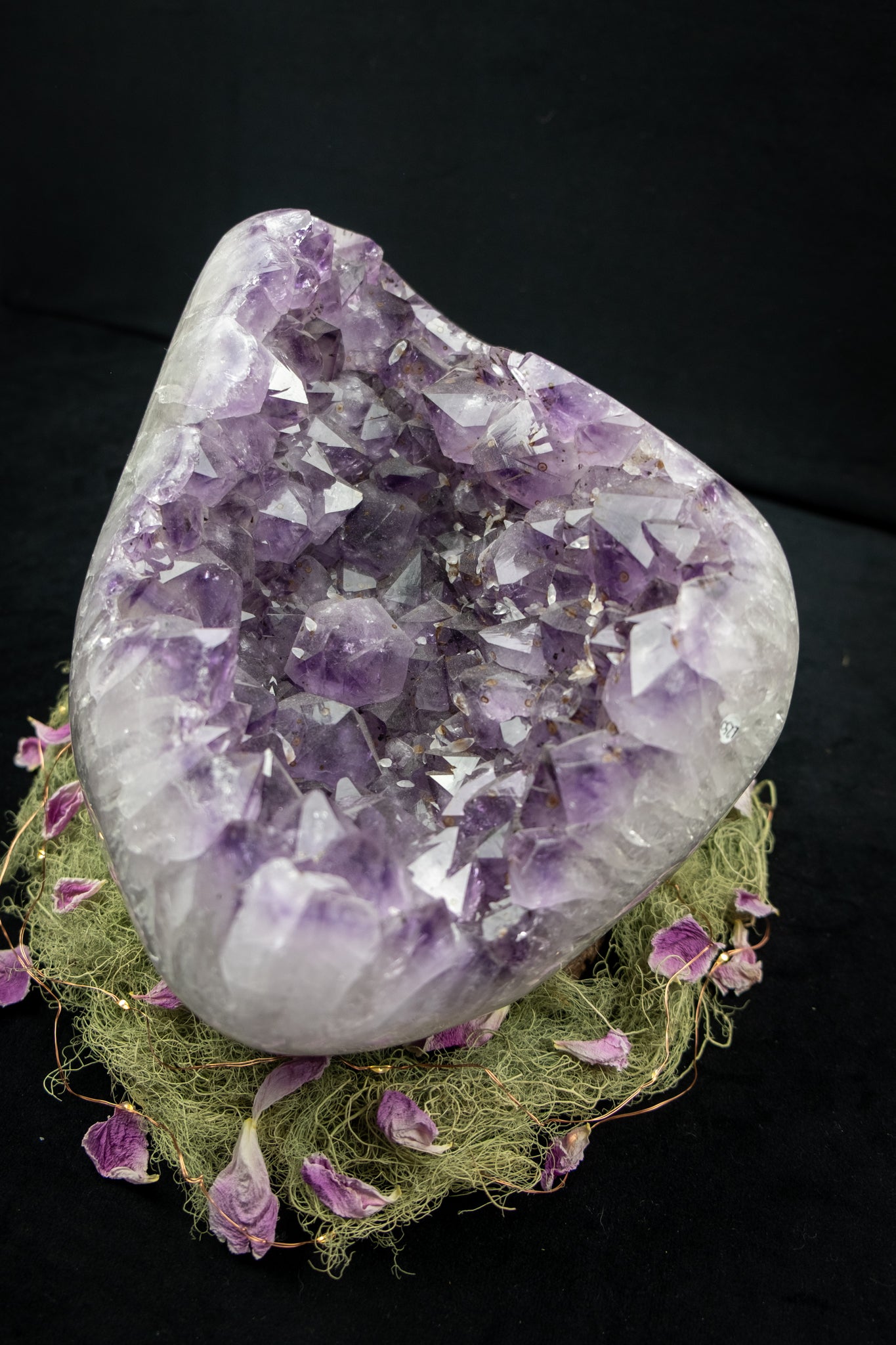 Amethyst Drusy Crystal Bed with Actinolite, Moss Agate and Calcite