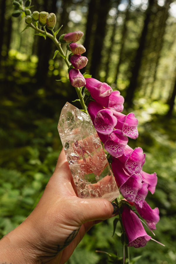 Lemurian Crystal Point, A crystal for starseeds, healers and lightworkers, Connect to Higher Realms, Ancient wisdom crystal, Rainbow gem