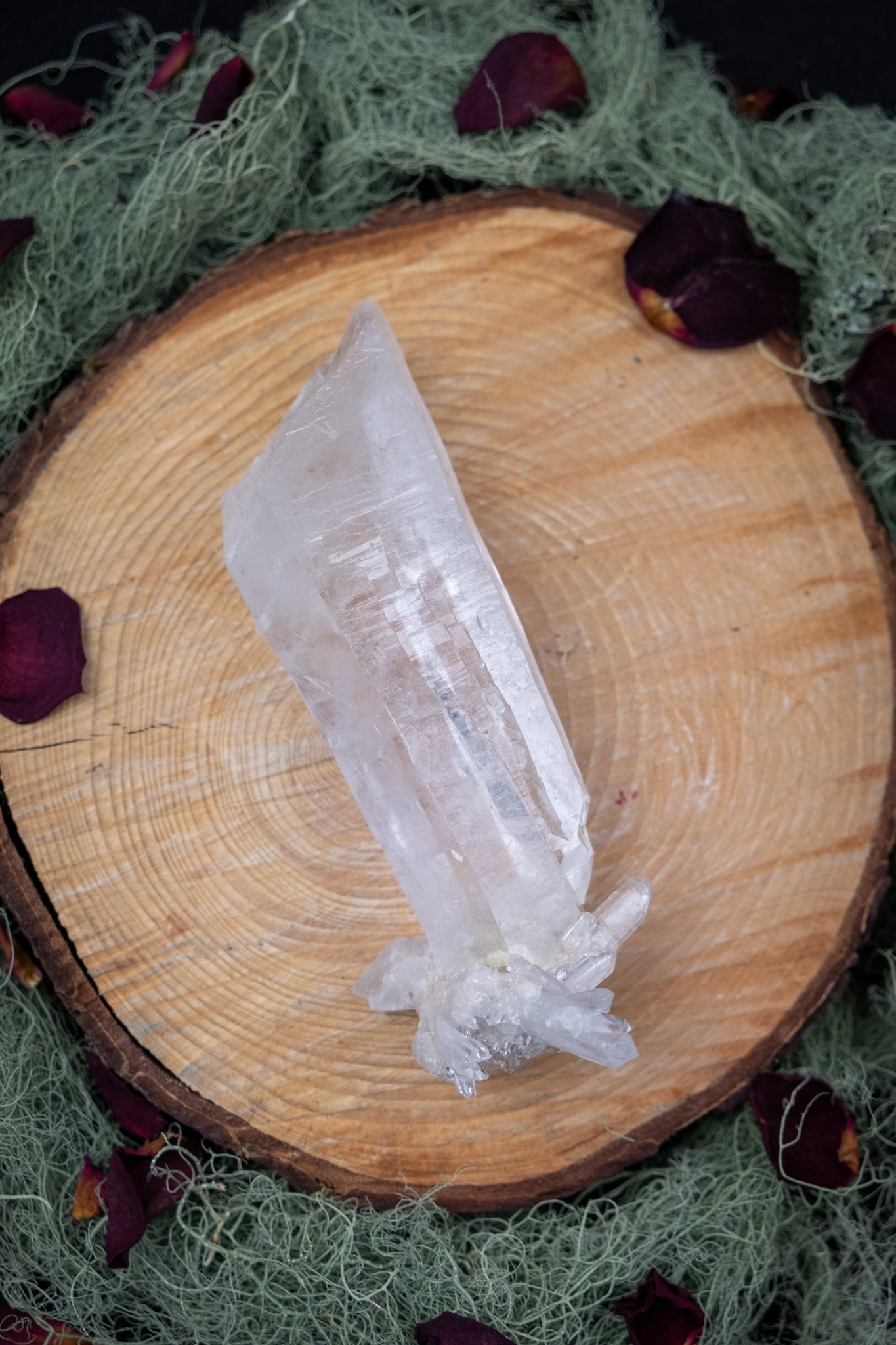 Natural Diamantina Quartz Point, High Grade Brazilian Crystal, Clear Quartz Stone for Energy Amplification and Clarity