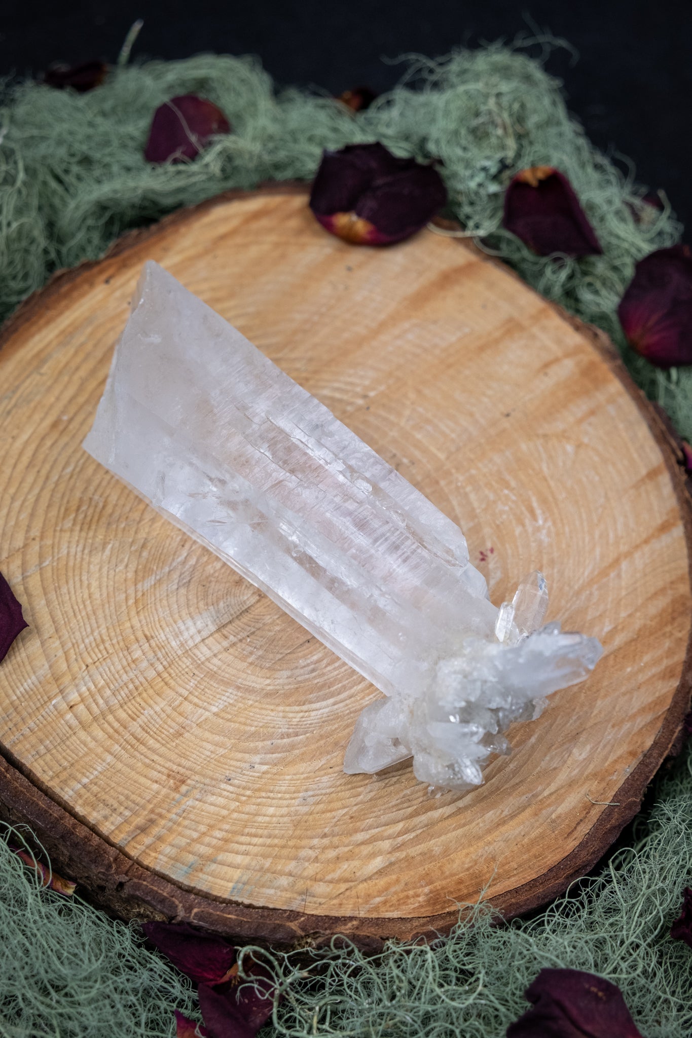 Natural Diamantina Quartz Point, High Grade Brazilian Crystal, Clear Quartz Stone for Energy Amplification and Clarity